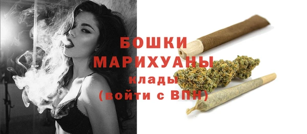дмт Переславль-Залесский