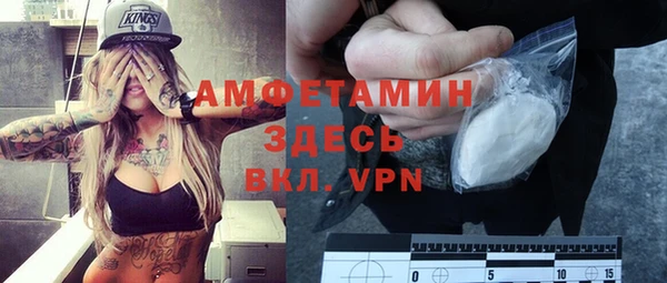 дмт Переславль-Залесский