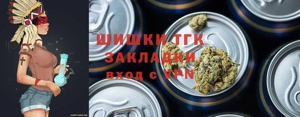 дмт Переславль-Залесский