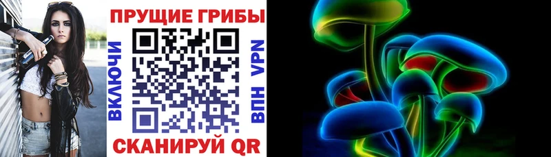 Галлюциногенные грибы Magic Shrooms  Купить закладки  Кинель 
